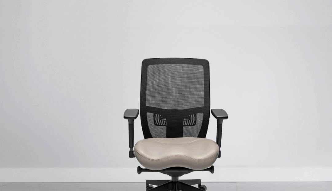 Classic-Mesh-Back-Gif